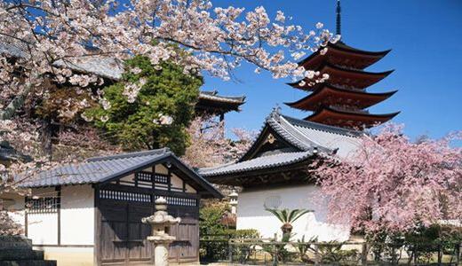 日本留学在东京生活是怎样的